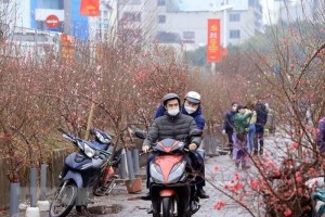 Người lao động được nghỉ Tết Nguyên đán 7 ngày